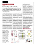 The functional and evolutionary impacts of human-specific deletions in conserved elements